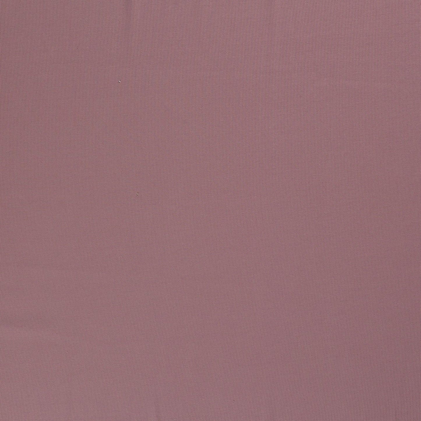 RIB Jersey Stoff Uni Mauve