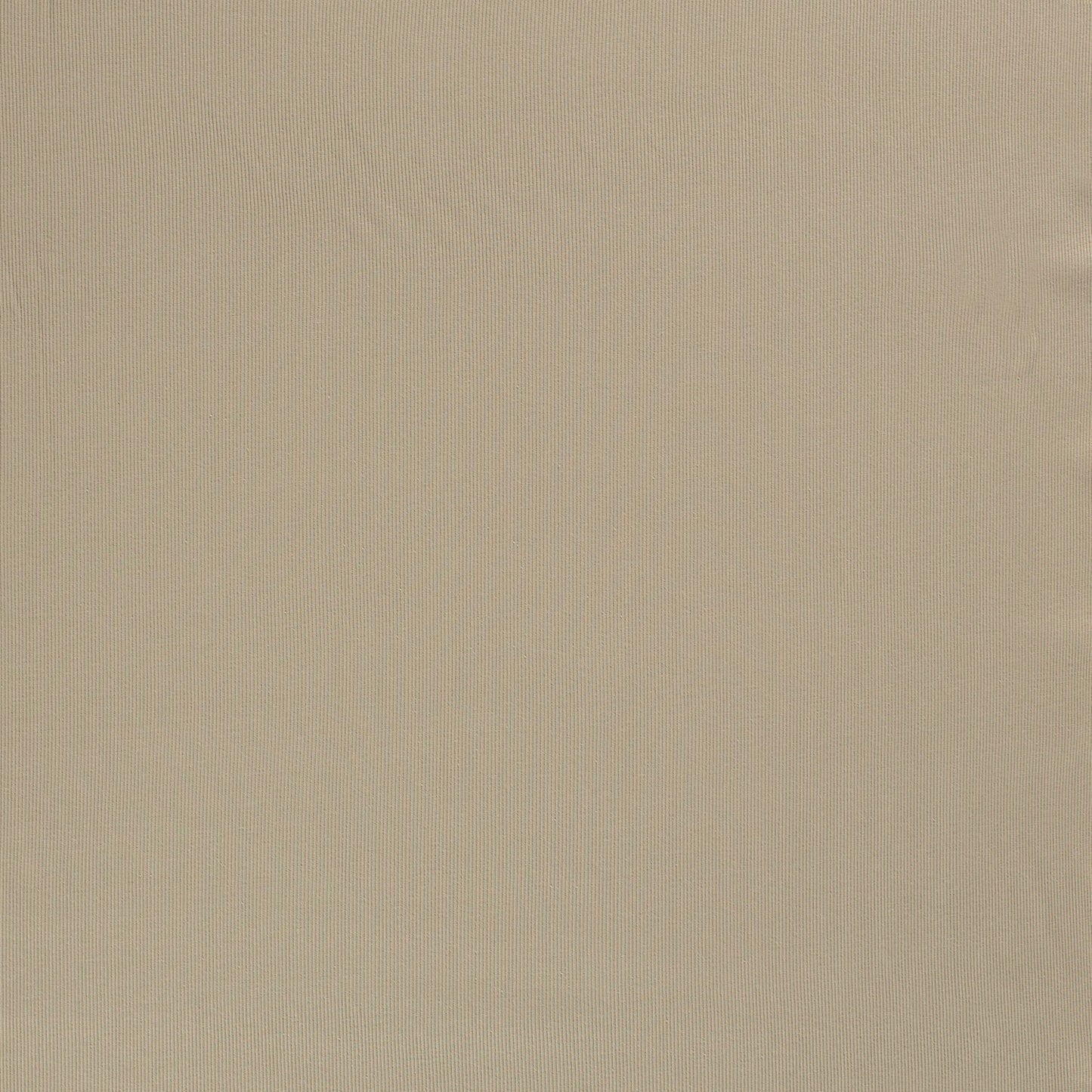 RIB Jersey Stoff Uni Olivgrün