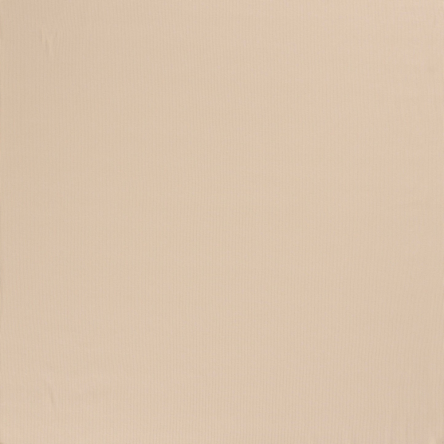 RIB Jersey Stoff Uni Beige